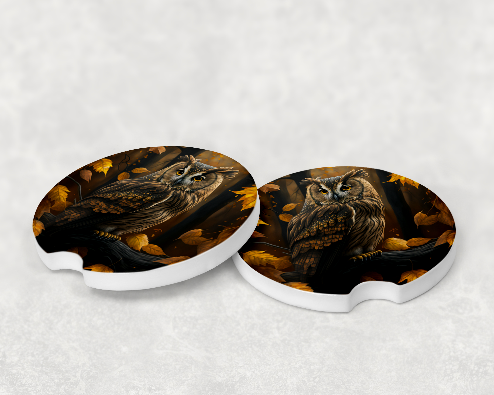 10051 - Fall Owl Ceramic Car Coaster