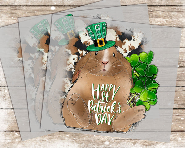 ST Patrick's Day - 1045 -  DTF Transfer